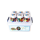 韓國 EDUSSAM 兒童益智磁鐵智力積木 益智游戲 兒童玩具