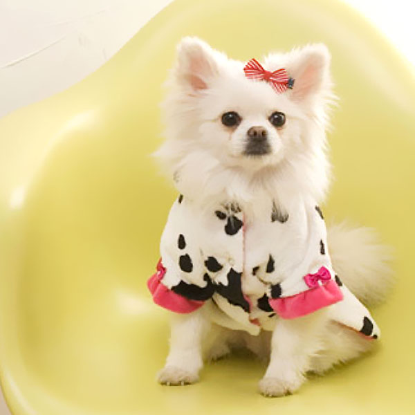 韩国【its dog】优雅高档奶牛狗狗大衣 型号:l