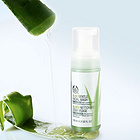 英國 The Body Shop 美體小鋪蘆薈溫和潔面泡沫 徹底清除污垢 清爽肌膚 125ml