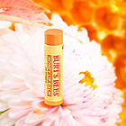 美國 Burt's Bees小蜜蜂蜂蜜潤唇膏 保濕滋潤唇膏4.25g/支  寶寶媽媽都可用