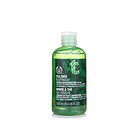 英國 The Body Shop 美體小鋪茶樹清爽沐浴露 帶你體驗全新的沐浴感受 250ml