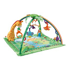 FISHER PRICE 熱帶雨林健身器 嬰幼兒玩具 海外直郵