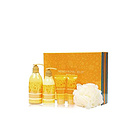 韓國 IPKN 憶可恩 蜂蜜沐浴潤膚套裝 滋潤保濕（沐浴露300ml+沐浴露60ml+護膚液200ml+護膚液60ml+浴花）