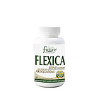 加拿大Future Nutrition  關節潤滑膠囊FLEXICA JOINT SUPPORT 緩解關節炎保健品 120粒/瓶