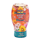 加拿大Naturoney 哈昵藍(lán)莓花蜂蜜 單花蜂蜜 100%純蜂蜜 保健食品 375g/罐