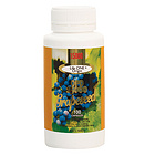 澳大利亞Life One Lecithin生命一號 葡萄籽硬膠囊15000mg 保護視力 預防心血管疾病 100粒/瓶