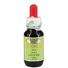 澳大利亞Life One Lecithin生命一號  液體蜂膠滴劑 濃度50%/40%/20%無酒精 25ml/瓶