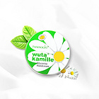 德國 Herbacin 賀本清 洋小甘菊 鐵盒裝 護手霜20ML