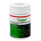 DRAPAC/新西蘭最派客松樹醇60粒抗氧化 美容養顏 清除自由基