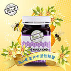澳大利亞Bio-E麥盧卡30+活性蜂蜜Active Manuka Honey 500g/瓶