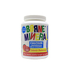 紐諾迪克New Nordic 兒童維生素咀嚼鈣片 水果味成長鈣片 含鎂和維D 180粒/瓶 