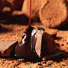 2盒裝法國德菲絲Truffettes松露巧克力 濃郁絲滑入口即化 1000g/盒*2