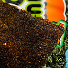 泰國 相撲手超大片烤海苔紫菜進(jìn)口小吃零食品 原味/香辣海鮮味 48g/包