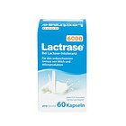 德國Lactrase乳糖酶膠囊6000單位乳糖酶 嬰兒奶伴侶 解決乳糖不耐受問題 60粒/瓶