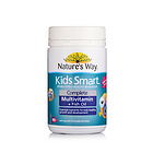 佳思敏Nature's Way Kids Smart漿果味兒童復合維生素魚油100片 健腦強身增免疫