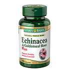 自然之寶紫雛菊提取物膠囊紫雛菊膠囊100粒 家中常備的“防病毒保鏢” 抗流感增免疫