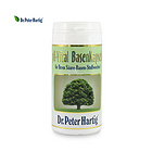 直郵德國DPH Dr.Peter Hartig植物酸堿平衡膠囊60粒 維持體內酸堿平衡 改善亞健康