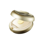 韓國正品 伊諾姿TERVINA奢華CC霜(買一送一替換裝) 21號 23號 15g 遮瑕 隔離 美白 保濕