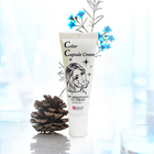 韓國藥妝SNP 亮白防曬遮瑕CC霜1號（淺米黃色） SPF25 PA++ 40g