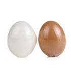 TONY MOLY/魔法森林 美白滋潤祛痘印潔面 egg pore shiny skin soap 雞蛋潔面皂 50g*2/盒