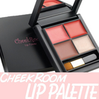 韓國【CheekRoom】琦夢四色唇彩盒 10g∕盒 唇彩 唇膏 保濕 彈力