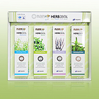 韓國韓日制藥HANIL草本潔白牙齒 去除牙垢 牙菌斑牙膏 4支套裝 