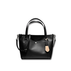 美國現貨蔻馳COACH女款手提包F25667 SV/BK